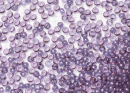 Бисер Япония MIYUKI Seed Beads 15/0 5г 0312 аметист золото блестящий